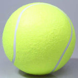 Giant Tennis Ball Inflatable Dog Toy