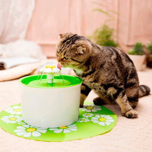 Best Automatic Pet Drinking Water Fountain