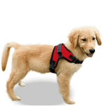 Breathable Pet Vest Dog Harness