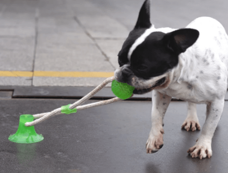 Floor Suction Tug Dog Chew Toy