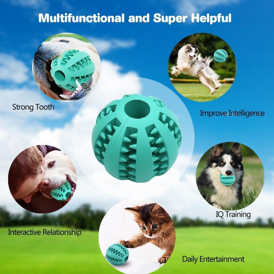 Best Teeth-Cleaning Safe Dog Feeder Chew Toy Ball
