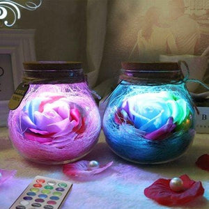 Forever Flower® LED Rose Bottle Lamp