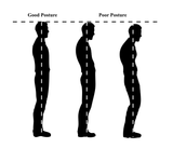 Lumbar Posture Corrector Brace